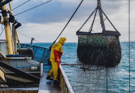 Trabajador en un barco